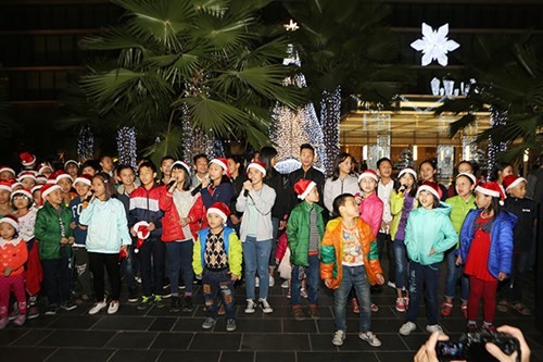 Hanoi streets lit up as merry Christmas comes - ảnh 8